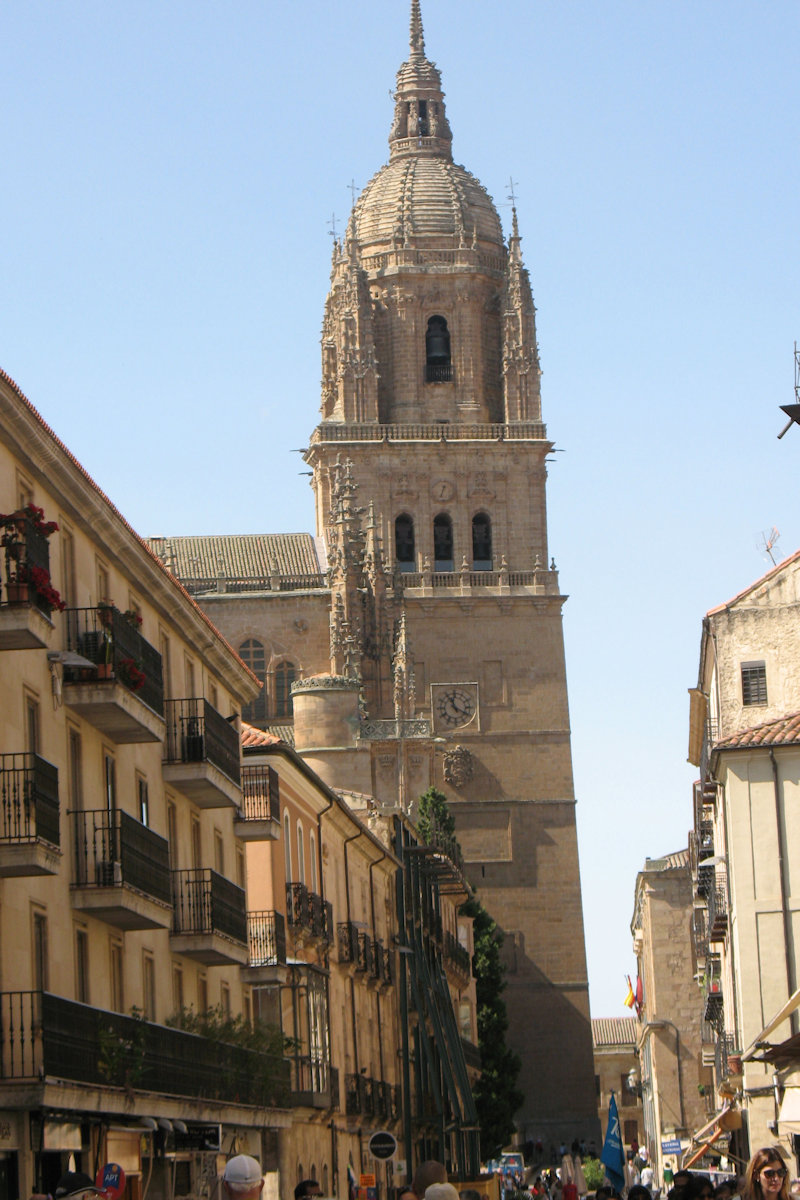 Cathedral in Salamanca  photograph